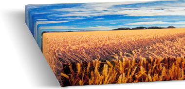 38mm deep canvases