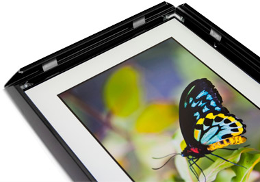 An open Switchframe